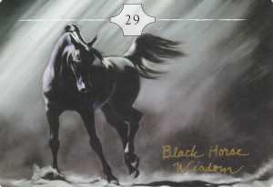 Black Horse Face Side Way of the horse oracle by