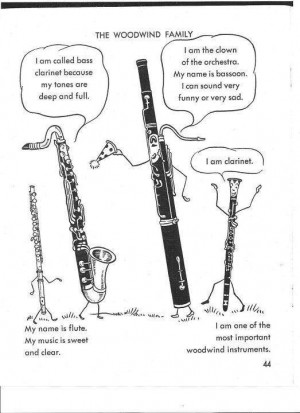 The Woodwind family - flute, bassoon, bass clarinet & Bb Clarinet