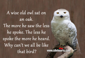 Owl Quotes. QuotesGram