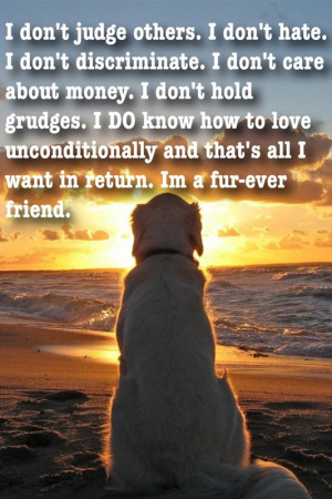 unconditional love dog