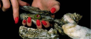 Maryland nickname: The Oyster State - picture of oysters