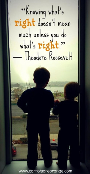 ... Quotes Bullying, Theodore Roosevelt Quotes, Anti Bullying Quotes