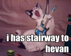 Rock-n-roll for cats.