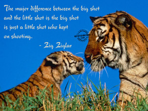 action-quotes-graphics-Difference Between Big And Little Shot