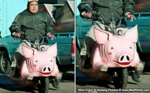 Who Wants To Ride This Piggy Bike?