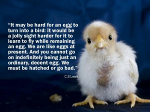 cs-lewis-egg-quote-hatched-or-go-bad-personal-development-quote ...