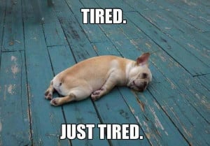Tired. Just tired. - Image