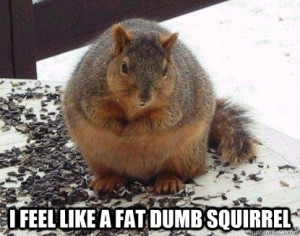 Feel Like a Fat dumb squirrel Fat Squirrel