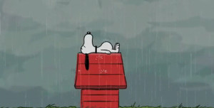 rainy sleepy snoopy peanuts
