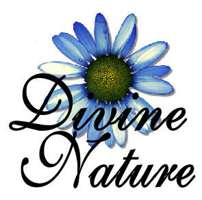 What is Divine Nature?