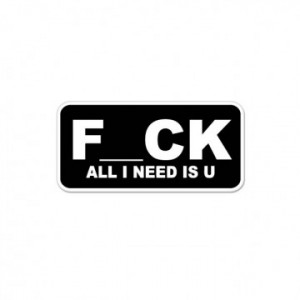 Reviewing: F*ck All I Need is U Funny Adult car bumper sticker