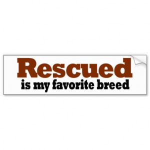 Rescue Is My Favorite Breed Rescued is my favorite breed