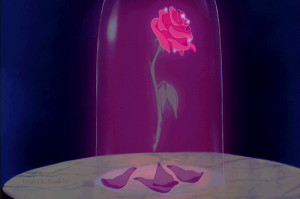 disney disneyland beauty and the beast Belle glass enchanted rose