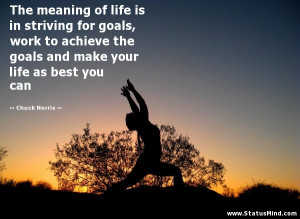 meaning of life is in striving for goals, work to achieve the goals ...