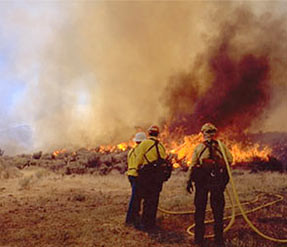 Firefighters with water hose suppressing a wildland fire. Courtesy of ...