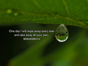 Pinned by Angie Stinnett-Moulton