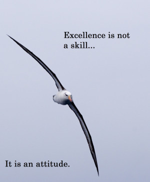 commitment, enjoy your life excellence attitude, excellence quotes ...
