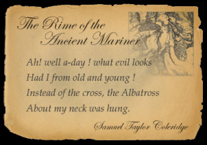 Touch Comment Create Share Remix Report