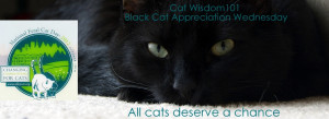 Two Black Cats In Love Feral cat day-black cat