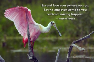 ... Let no one ever come to you without leaving happier. ~ Mother Teresa
