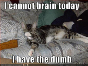 lolcats-lazy-habit-cant-brain