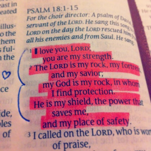 the Lord is my strength and shield