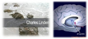 Click here for the Charles Linden Method Panic & Anxiety Cure.