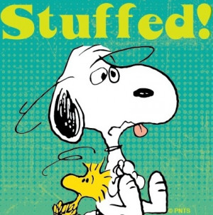 Stuffed Snoopy cartoon via www.Facebook.com/Snoopy