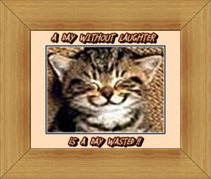 Cat Quote – A day without Laughter is a day wasted