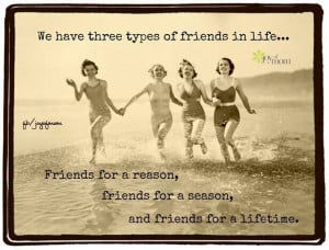 Three types of friends....