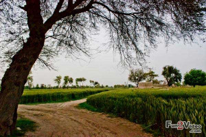 Pictures Of Punjab Village