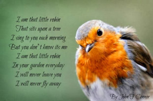 Robin Bird Quotes. QuotesGram