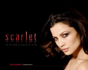 scarlet letter chapter 12 quotes 2013 12 04 the hunger games scarlet ...