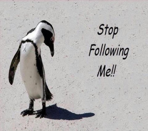 Stop Following Me