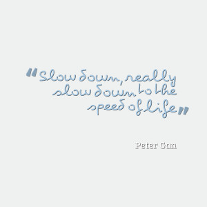 Quotes Picture: slow down, really slow down to the speed of life