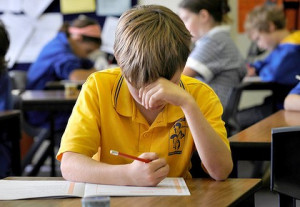 australian national testing ang primary schools Site
