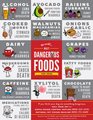 Foods that are Dangerous for your Dog
