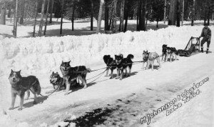 Tahoe City Constable Harry Johanson on patrol with his loyal sled dog ...
