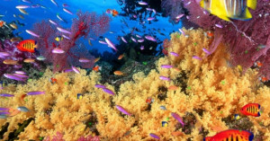 Funny Quotes Contact Us DMCA Notice