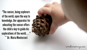 Montessori Sensorial Quotes