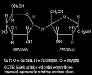 Go Back Gallery For Sucrose Molecule Tattoo/feed/rss2