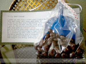 download this Reindeer Poop Poem Delicious The Recipe Found For ...