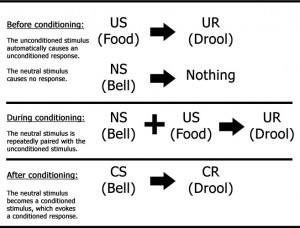 Classical Conditioning Diagram