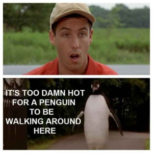 Adam Sandler in Billy Madison. 