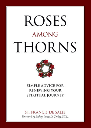 Among Thorns: Simple Advice for Renewing Your Spiritual Journey