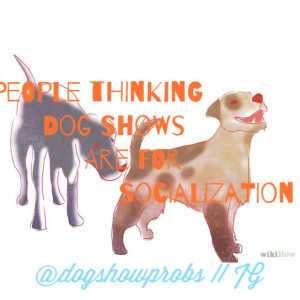 Dog show #quote #dog show quotes #showmanship #show dog #westminster ...