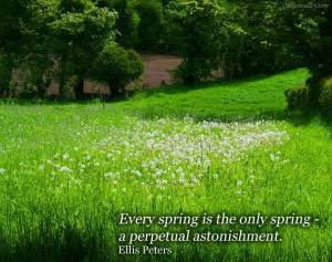 Every Spring Is The Only Spring