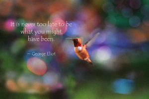 Inspirational Hummingbird Photograph