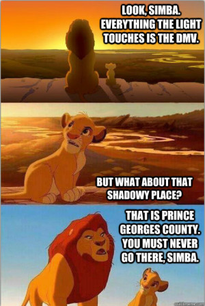 ... county. You must never go there, Simba. Shadowy Place from Lion King