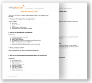 Bonus! Here is a sample website brief we have put together based on a ...